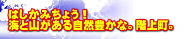 はしかみちょう！ 海と山がある自然豊かな。階上町。　